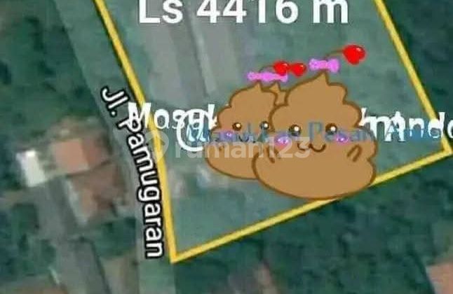 Tanah Luas (Kotak) Cileungsi , Cocok Buat Proyek Perumahan Tanah Luas (Kotak) Cileungsi , Cocok Buat Proyek Perumahan