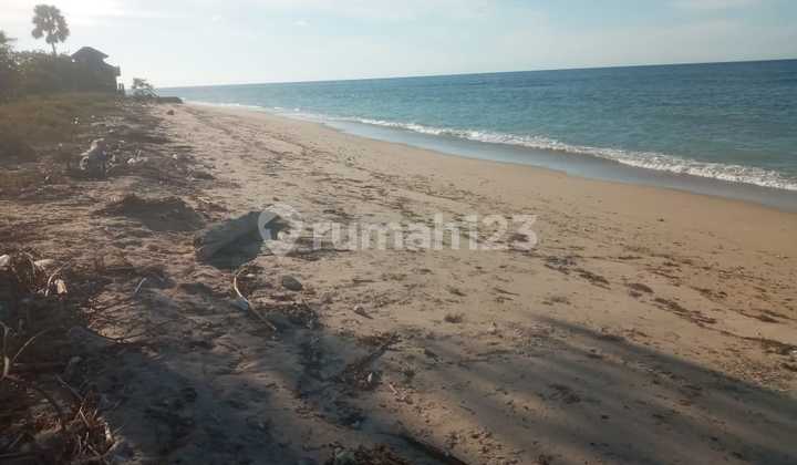 LAND IN WAINGAPU - PARADISE HASN'T FALLEN TO BALI, BUT TO EAST SUMBA LAND IN WAINGAPU - PARADISE HASN'T FALLEN TO BALI, BUT TO EAST SUMBA