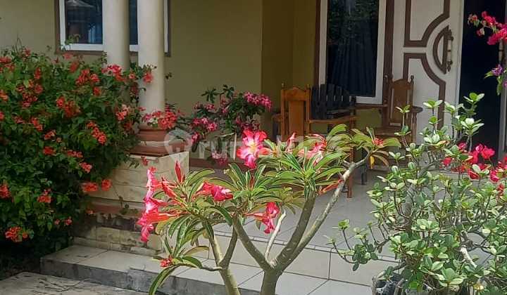 Rumah Luas + Kontrakan di Leuwiliang Bogor - Investasi Strategis Rumah Luas + Kontrakan di Leuwiliang Bogor - Investasi Strategis