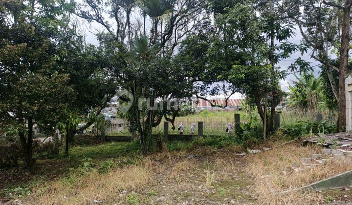 Land at Alfamart Kadupugur, Kadupugur Main Road, Cijalingan, Cicantayan, Sukabumi, West Java, Indonesia, 43155, Cicantayan SHM 16248.0 m² Land at Alfamart Kadupugur, Kadupugur Main Road, Cijalingan, Cicantayan, Sukabumi, West Java, Indonesia, 43155, Cicantayan SHM 16248.0 m²