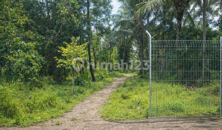 Empty Land for Rent in Anyer Near Port Access