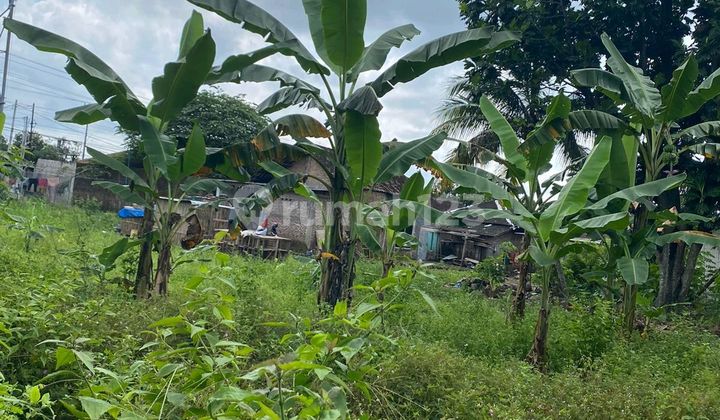 For Sale Fast Land in Dukuh Pomah, Mojosongo, Boyolali