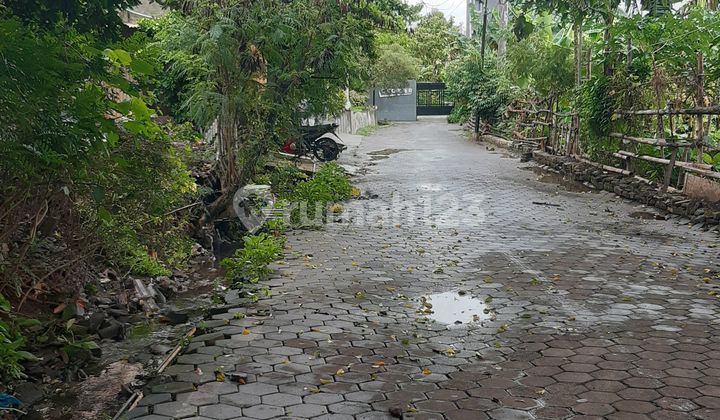 Dijual Tanah Ditembalang,Bulusan Utara Dekat Kampus Undip 1
