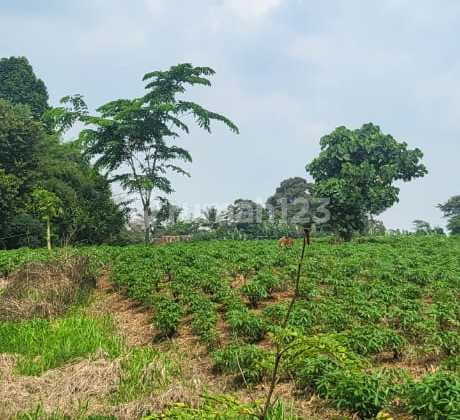 Tanah SHM Lokasi Strategis di Telaga Kahuripan, Kemang, Bogor Tanah SHM Lokasi Strategis di Telaga Kahuripan, Kemang, Bogor