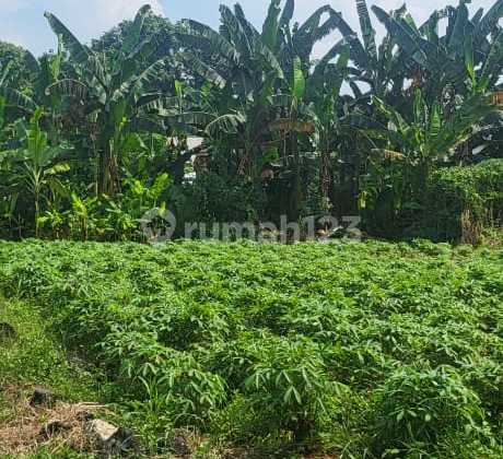 Tanah SHM Lokasi Strategis di Telaga Kahuripan, Kemang, Bogor Tanah SHM Lokasi Strategis di Telaga Kahuripan, Kemang, Bogor