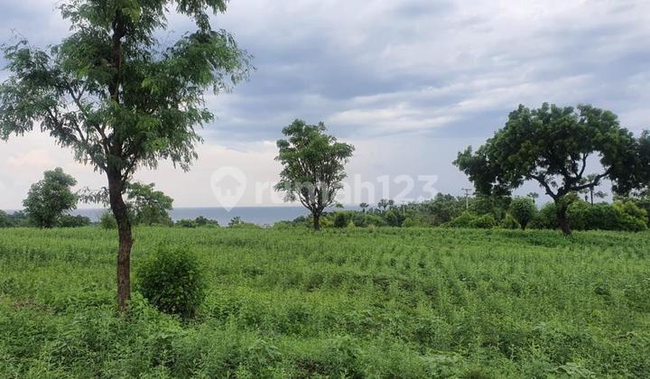 Land for Sale in Karangasem Bali Location