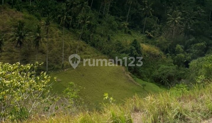 Tanah Kavling di Bangkiang Sidem Ubud dekat Monkey Forest Tanah Kavling di Bangkiang Sidem Ubud dekat Monkey Forest