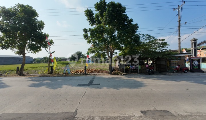 Cheap land in Wonosari Klaten Solo with container access, suitable for warehouses. Cheap land in Wonosari Klaten Solo with container access, suitable for warehouses.