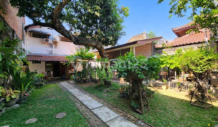 Rumah Murah Luas 462 M² Tengah Kota Solo di Kratonan Serengan Rumah Murah Luas 462 M² Tengah Kota Solo di Kratonan Serengan