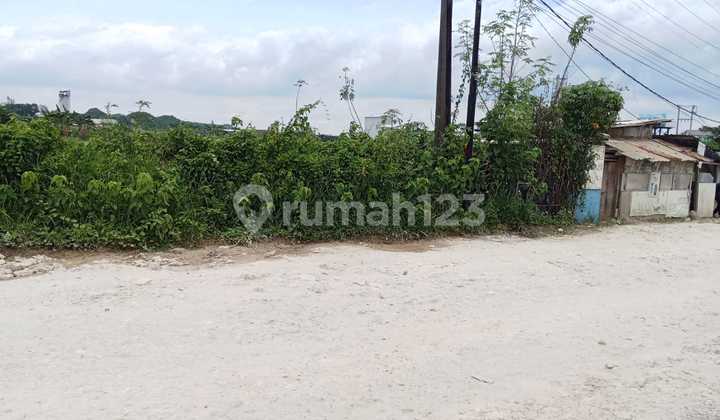 Jual Tanah 60 Ha Murah Dibawah NJOP Jual Tanah 60 Ha Murah Dibawah NJOP