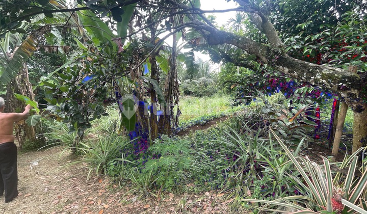 Dijual Tanah Dijalan Pemda Kab. Bogor di Bojong Gede Tanah SHM 3800.0 M²