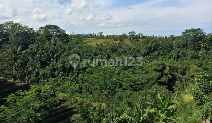 Iconic 10 Ha Bali Asset for Sale | Strategic Gianyar Location | Ideal for Luxury Hotel/Resort (FORMER TAMAN NUSA)