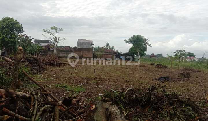 Harga Murah, Tanah Luas 5090 Lokasi Strategis di Muncar Banyuwangi Harga Murah, Tanah Luas 5090 Lokasi Strategis di Muncar Banyuwangi