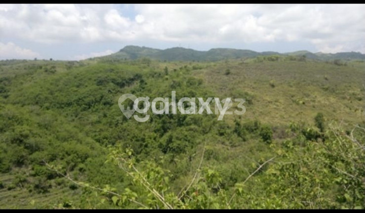 8000Sqm Land In Batumadeg, Klungkung, Bali (Shm)