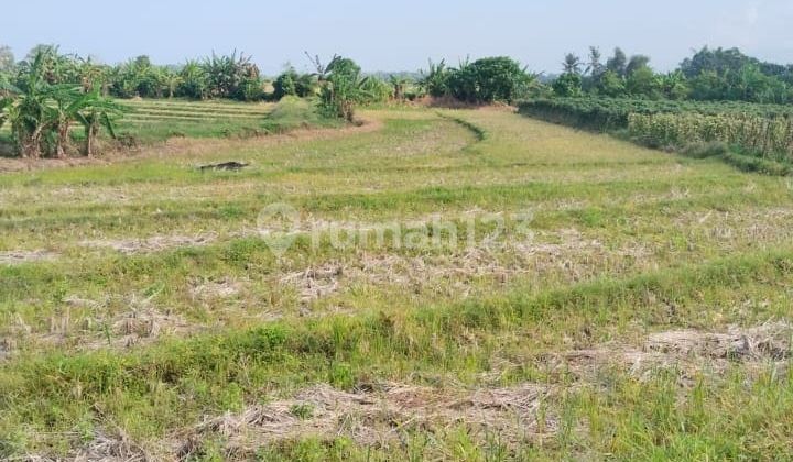 6Are Land With Sea View In Tibubiyu, Tabanan 6Are Land With Sea View In Tibubiyu, Tabanan