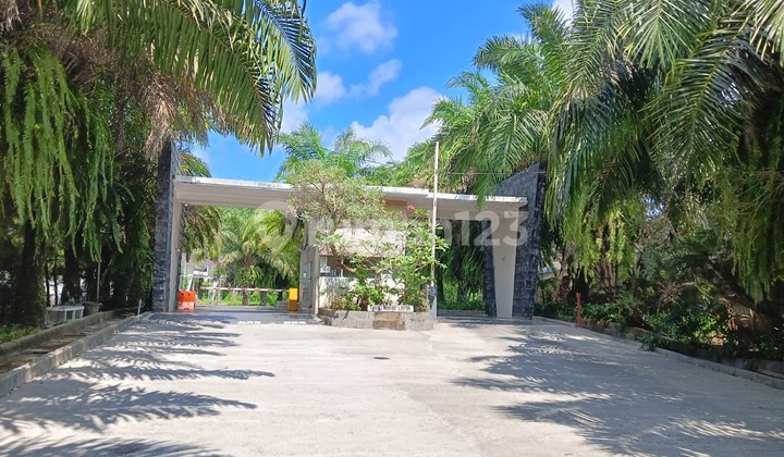 Strategic House in Tabanan (Comfortable Living, Promising Investment) 2