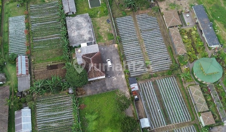 Pemandangan Indah Tanah Hak Milik Di Bedugul, Bali (Sempurna Untuk Villa)