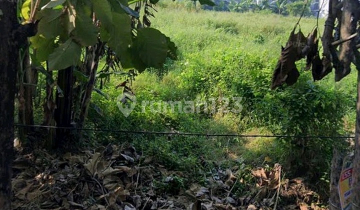 Affordable Commercial Land in Diponegoro Street Area, Gresik Affordable Commercial Land in Diponegoro Street Area, Gresik