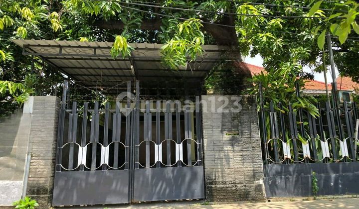 Dijual Rumah Nol Jln Raya,Kartini Sebelah Jasindo Darmo 1