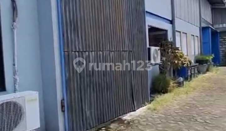 Sell Mastrip Warehouse Prime Location