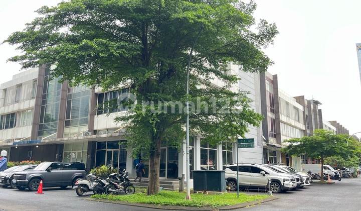 Luxurious Shop House on Sutera Boulevard Near Alfa Tower ~ Cash Only 2