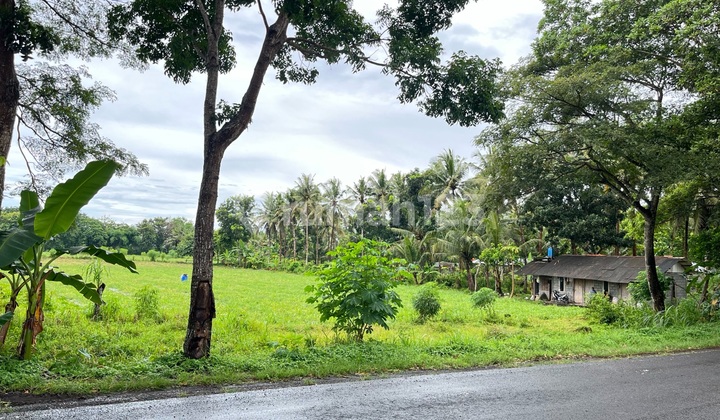 Tanah Luas 17.021 - Letak Strategis Dekat Bandara Yia Yogyakarta Tanah Luas 17.021 - Letak Strategis Dekat Bandara Yia Yogyakarta