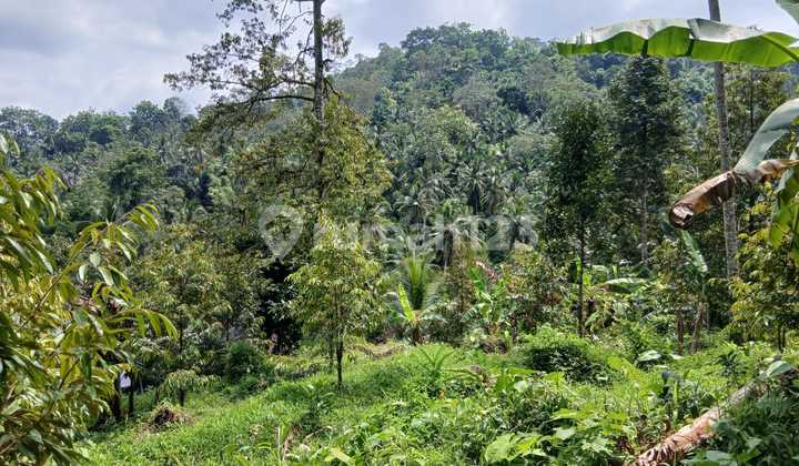 Land for Sale Located in Talibeng