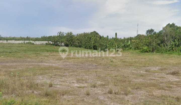 Tanah Jual Lokasi Pengambengan Tanah Jual Lokasi Pengambengan