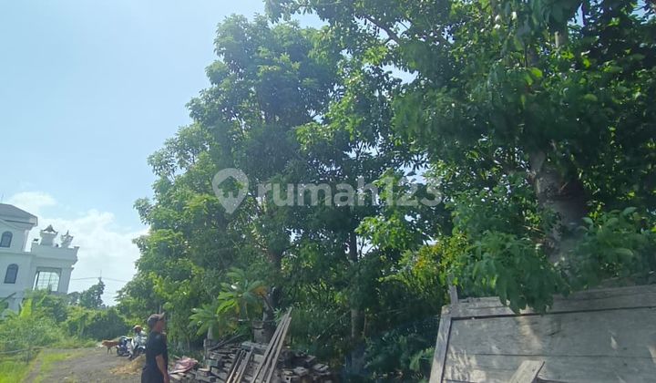Tanah Jual Lokasi Purnama