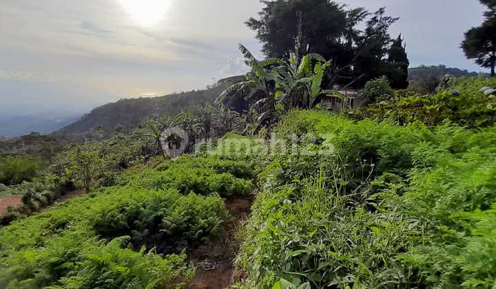 Land for Sale in Munduk Location Land for Sale in Munduk Location