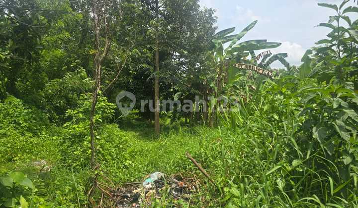 Tanah Jual Lokasi Lodtunduh Tanah Jual Lokasi Lodtunduh