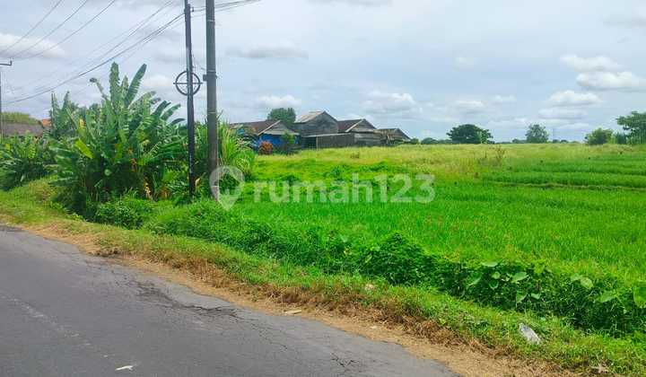 Tanah Jual Lokasi Kaba Kaba