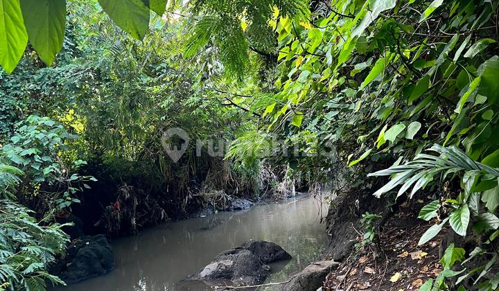 Tanah Jual Lokasi Canggu