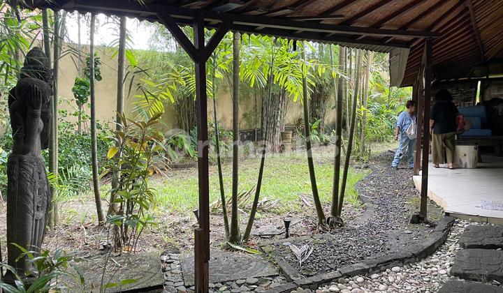 Land For Sale Location Seminyak