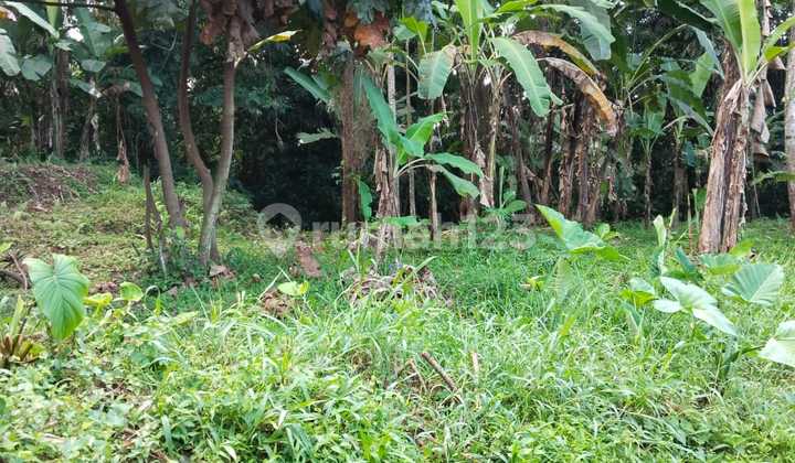 Land for Sale Location Ubud