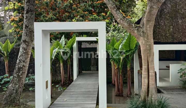 Villa for Sale in Ubud Location 2