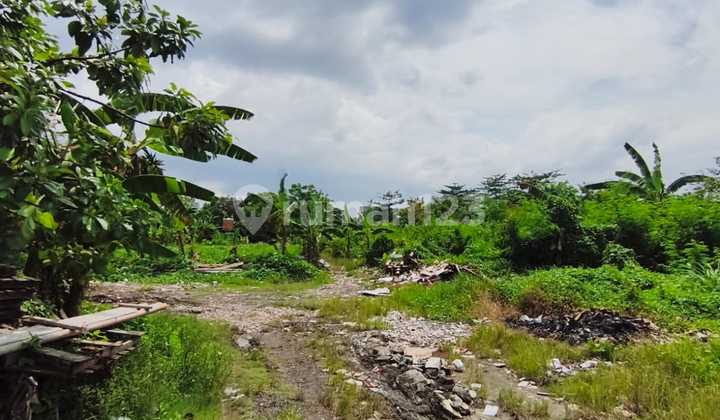 Tanah Jual Lokasi Ubung