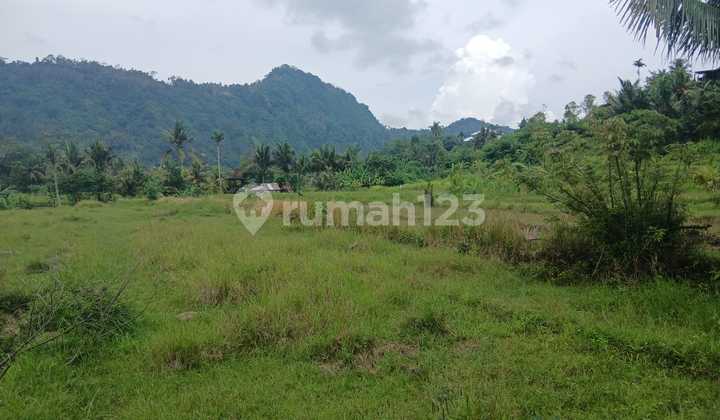 Tanah Jual Lokasi Sidemen