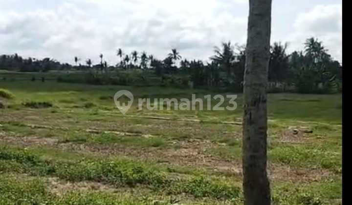 Tanah Jual Lokasi Buwit