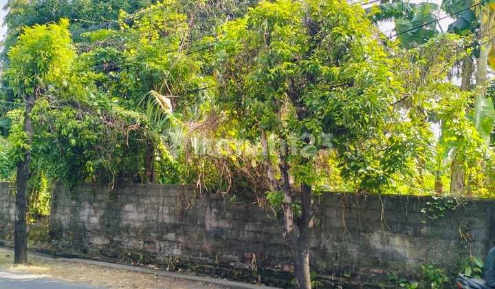 Tanah Jual Lokasi Renon