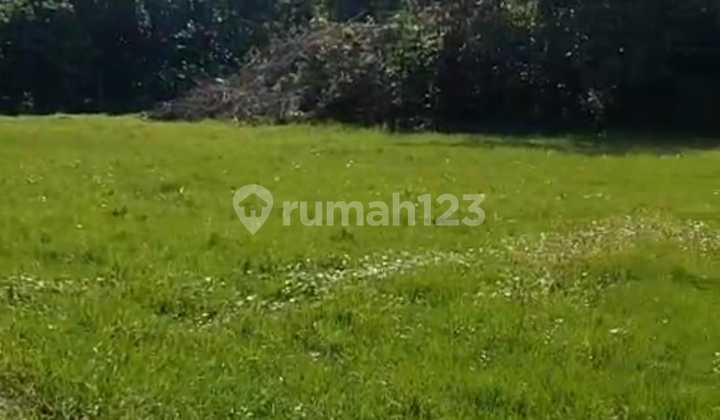Land for Sale Location Ubud