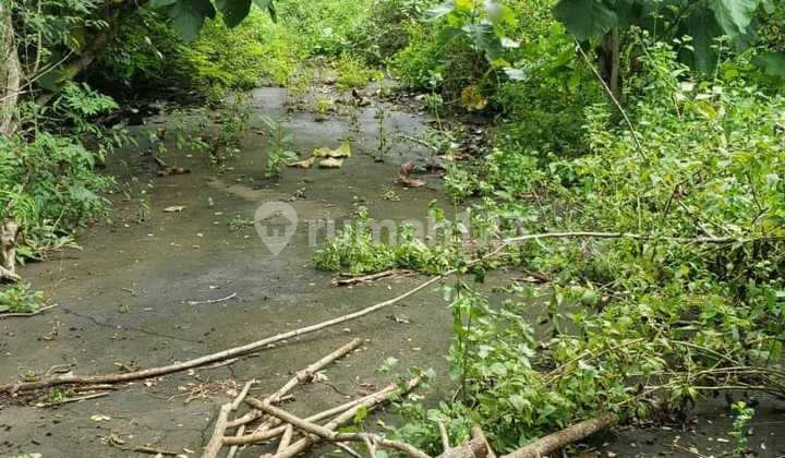 Land For Sale Location Pecatu