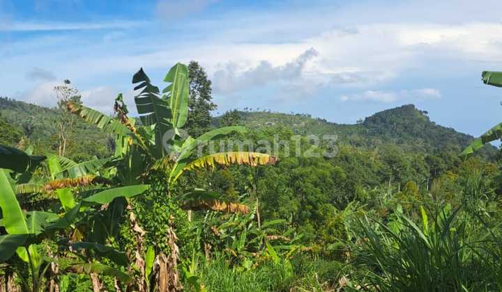 Land for Sale in Wanagiri Land for Sale in Wanagiri