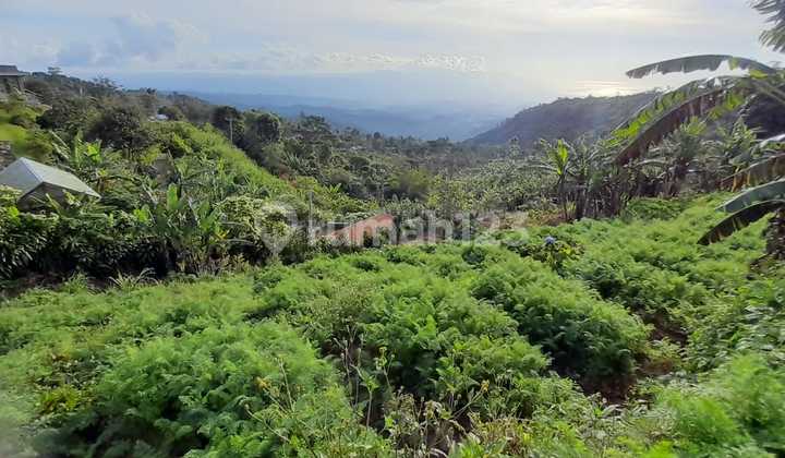 Land for Sale in Munduk Location Land for Sale in Munduk Location