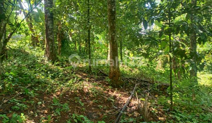 Tanah Jual Lokasi Kerambitan