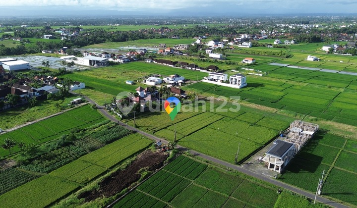 Tanah Jual Lokasi Belalang Tanah Jual Lokasi Belalang