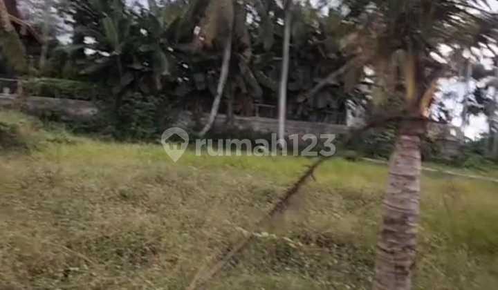 Land for Sale Pering Location