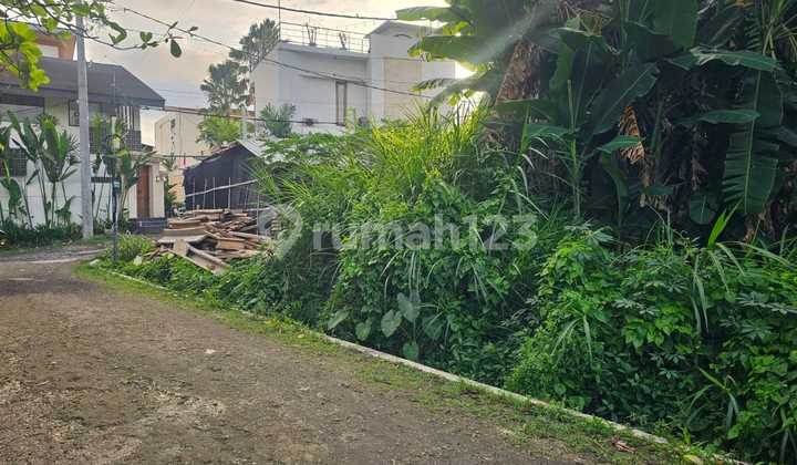 Tanah Jual Lokasi Canggu