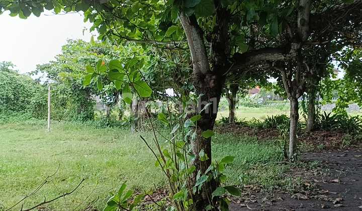 Tanah Jual Lokasi Padang Galak