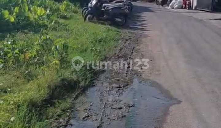 Tanah Jual Lokasi Bajataki